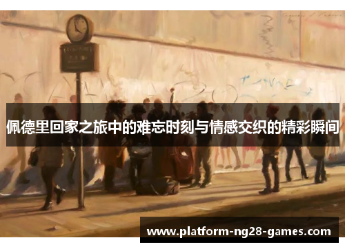 佩德里回家之旅中的难忘时刻与情感交织的精彩瞬间