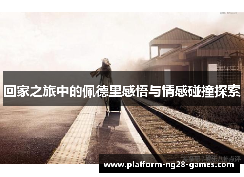 回家之旅中的佩德里感悟与情感碰撞探索