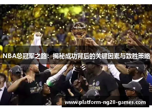 NBA总冠军之路：揭秘成功背后的关键因素与致胜策略