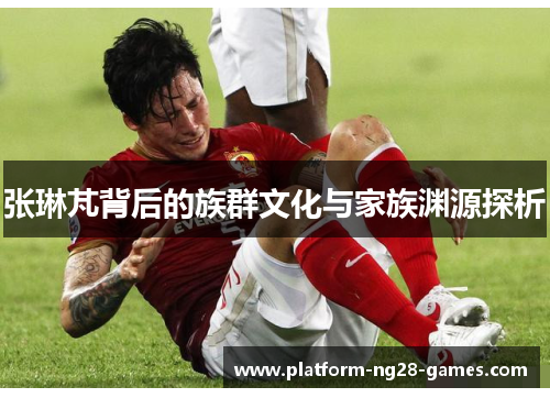 张琳芃背后的族群文化与家族渊源探析