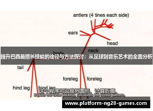 提升巴西最擅长技能的途径与方法探讨：从足球到音乐艺术的全面分析