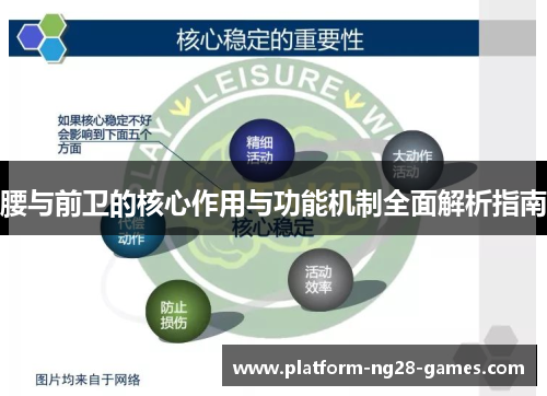腰与前卫的核心作用与功能机制全面解析指南