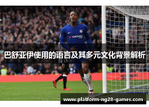 巴舒亚伊使用的语言及其多元文化背景解析 巴舒亚伊使用的语言及其多元文化背景解析