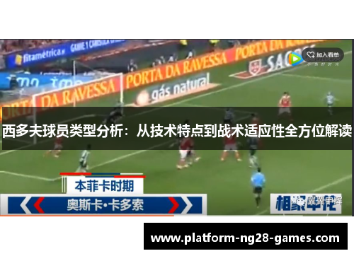 西多夫球员类型分析：从技术特点到战术适应性全方位解读