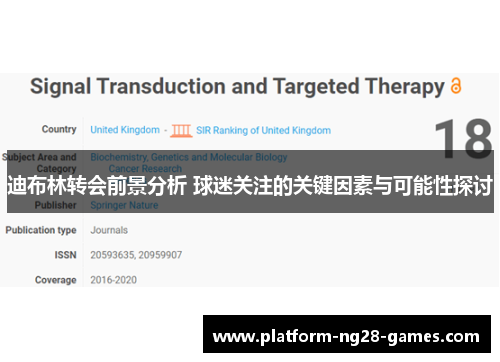 迪布林转会前景分析 球迷关注的关键因素与可能性探讨